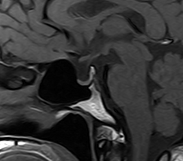 1524110336176249.jpg 1524110336176249.jpg