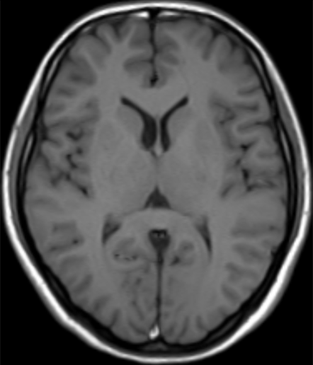 1524110459339552.png 1524110459339552.png